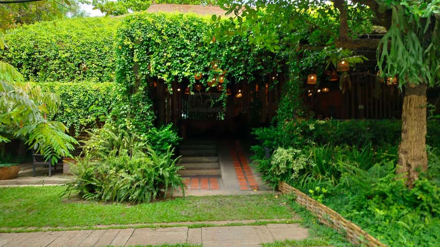 Chiang Rai White Temple and Blue Temple Day Tour - Stop 1: DOI CHAANG Caffè Mae Suai Break