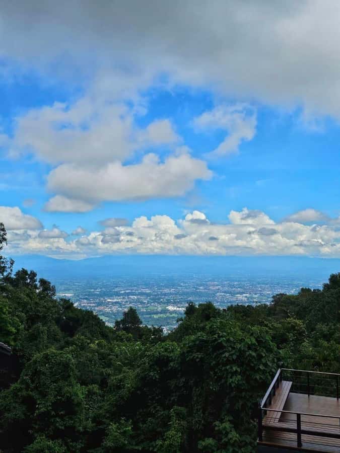Chiangmai : Doi Pui Summit Hiking Experience - A 7-hour temple-to-summit hike built for fit days in Chiang Mai