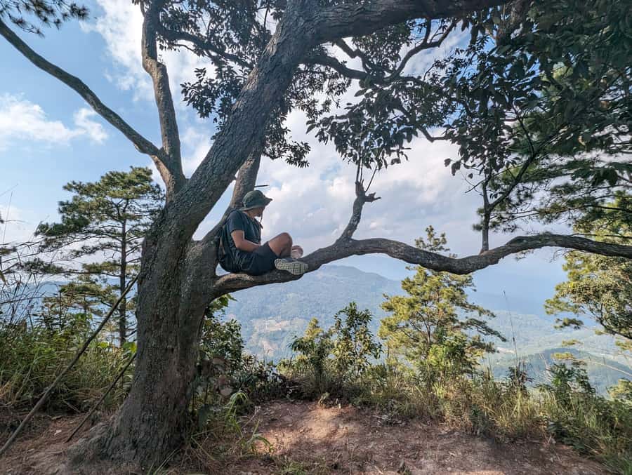Chiangmai : Doi Pui Summit Hiking Experience - Starting on the Mindfulness Trail, then finding Wat Phalat in the quiet