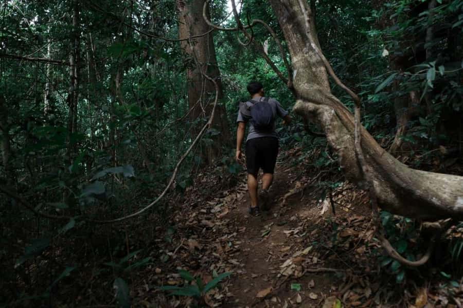 Chiangmai : Doi Pui Summit Hiking Experience - Doi Suthep to lunch: how the village and coffee stop makes the summit realistic