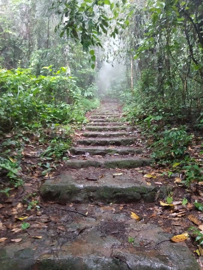 Chingmai Sunrise Hike & Cultural Traditions - Scenic Plateau Breakfast and Fresh Mountain Coffee