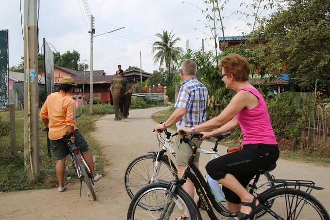 Colors of Ayutthaya Full-Day Bike Tour - Price and value: does $71.37 make sense?