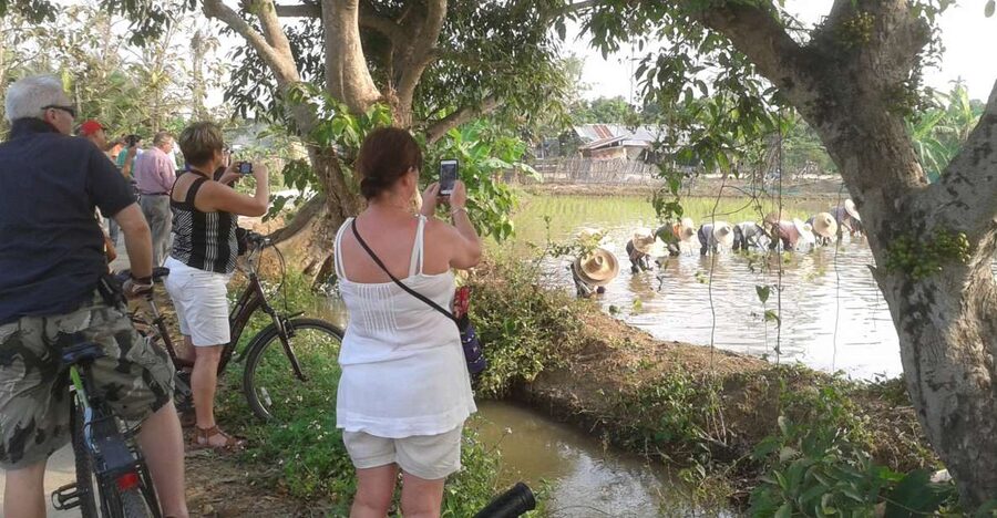 Colors of Chiang Mai Guided Bicycle Tour - Key Points I’d Use to Choose This Tour