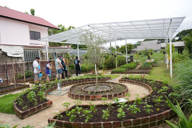 Cooking Class with Organic Farm in Chiang Mai at Mama Noi - The organic kitchen garden, and why it changes how you cook