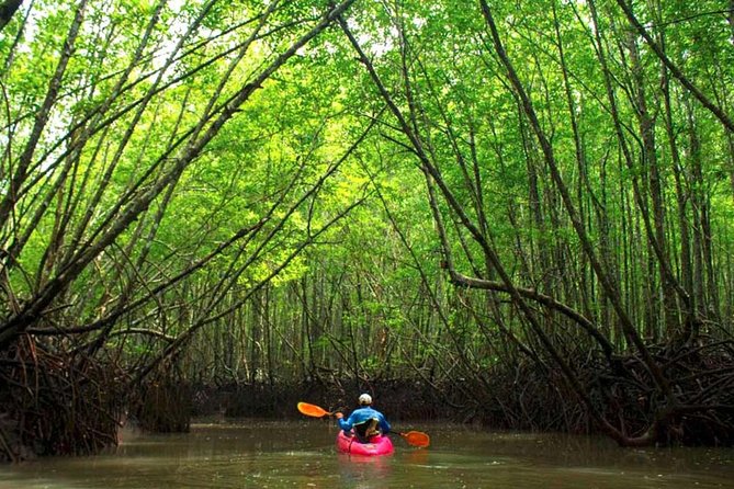 Deep Mangrove and Canyon Kayak Tour in Krabi - Key highlights worth knowing