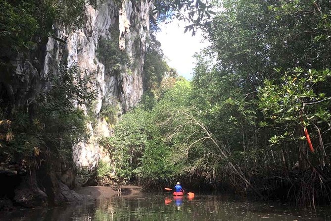 Deep Mangrove and Canyon Kayak Tour in Krabi - Krabi’s mangroves and canyon kayaking, minus the island chaos