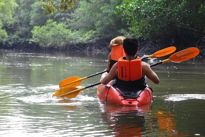 Deep Mangrove and Canyon Kayak Tour in Krabi - Deep mangroves and canyon-like passages, with wildlife you might spot