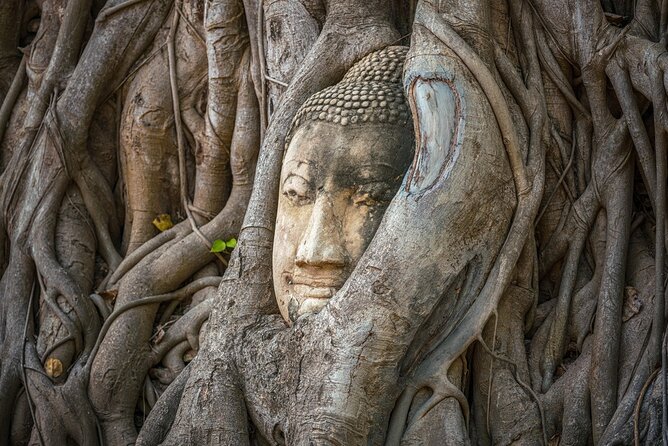 Definitive tour of 4 ancient capitals Ayutthaya ruins in Japanese - Getting there smoothly: hotel pickup and River City Bangkok start