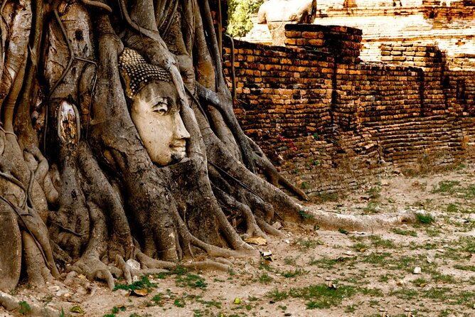 Definitive tour of 4 ancient capitals Ayutthaya ruins in Japanese - Price and logistics: what $53.47 really buys you
