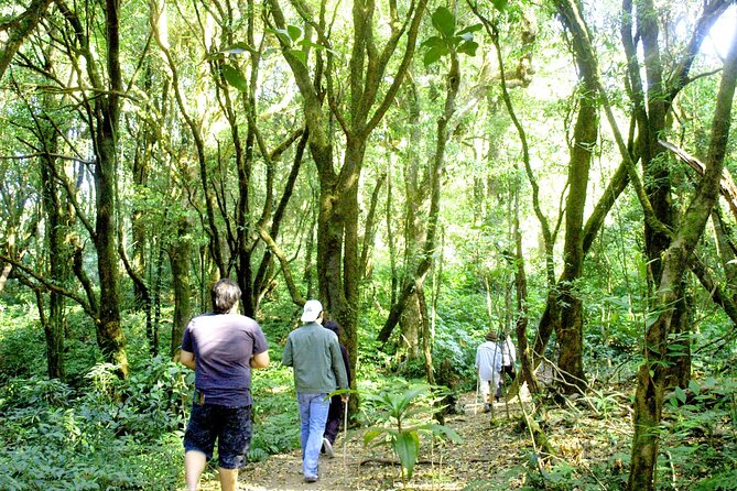 Doi Inthanon National Park, Waterfall & Royal Project Day Tour From Chiang Mai - Getting Out of Chiang Mai: the point of a guided Doi Inthanon day
