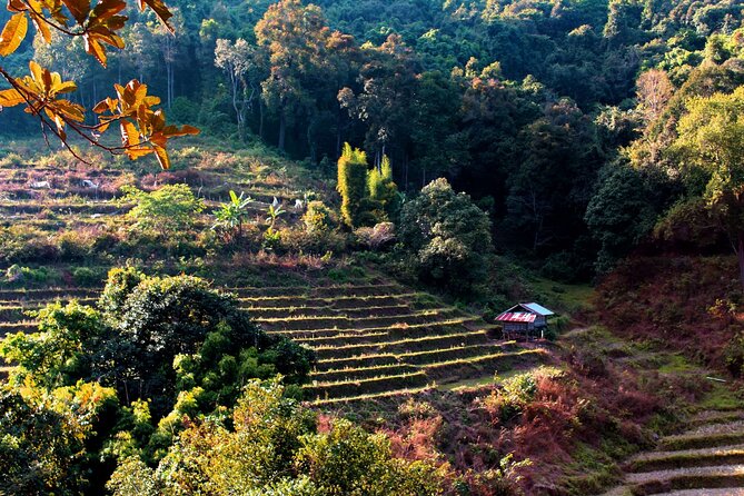 Doi Inthanon National Park, Waterfall & Royal Project Day Tour From Chiang Mai - Sirithan Falls: a second waterfall with a calmer feel