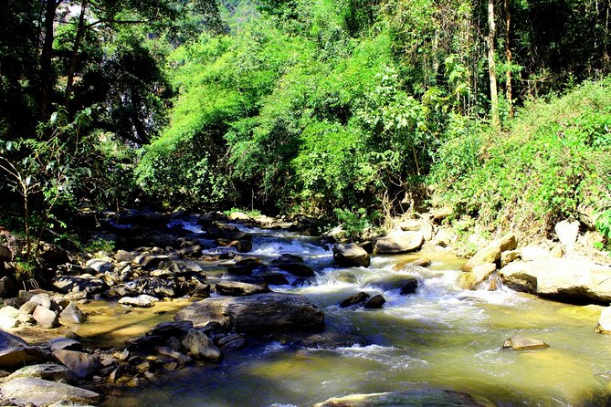 Doi Inthanon National Park, Waterfall & Royal Project Day Tour From Chiang Mai - Baan Mae Klang Luang: hill tribe culture, coffee stops, and shopping time