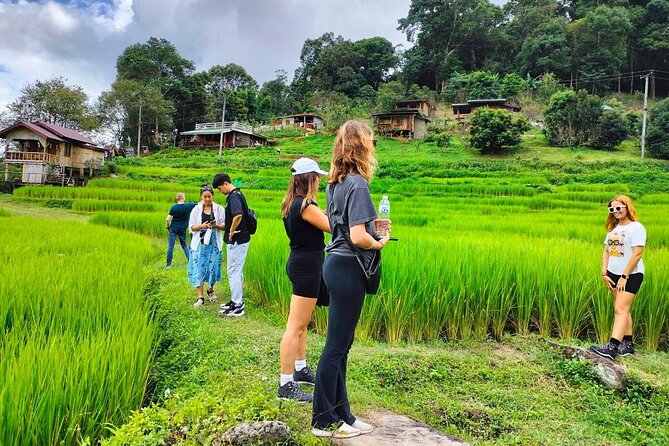 Doi Inthanon Waterfall and Royal Project Chiang Mai - Highest point in Thailand and the Ang Ka Nature Trail boardwalk
