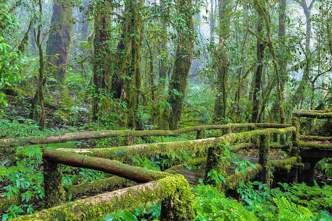 Doi Inthanon Waterfall and Royal Project Chiang Mai - Twin Royal Stupas: what to notice at the summit