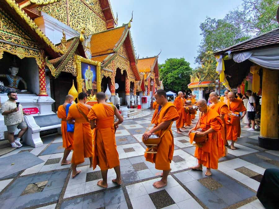 Early morning Doi Suthep with monk chanting and alms - Wat Palad after dawn, a quiet jungle temple without the day-tour feel