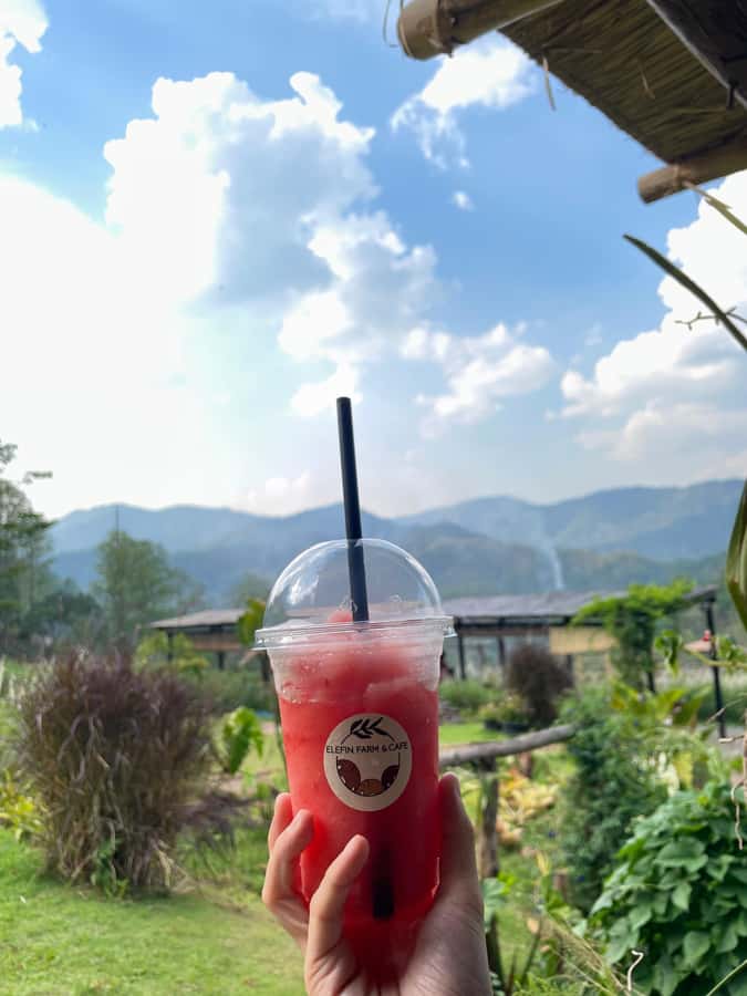 Elefin Farm & Cafe Half-day tour with Private Car - Cafe lunch with organic dishes and breathtaking farm views