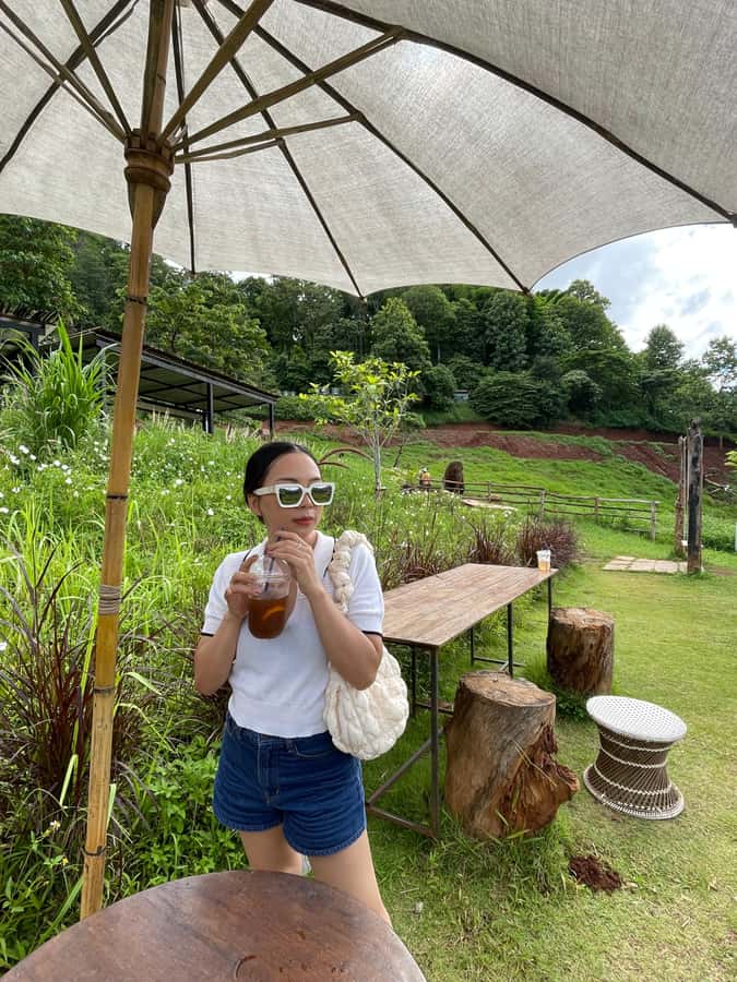 Elefin Farm & Cafe Half-day tour with Private Car - Wat Phrathat Doi Kham stop, plus the practical dress lesson