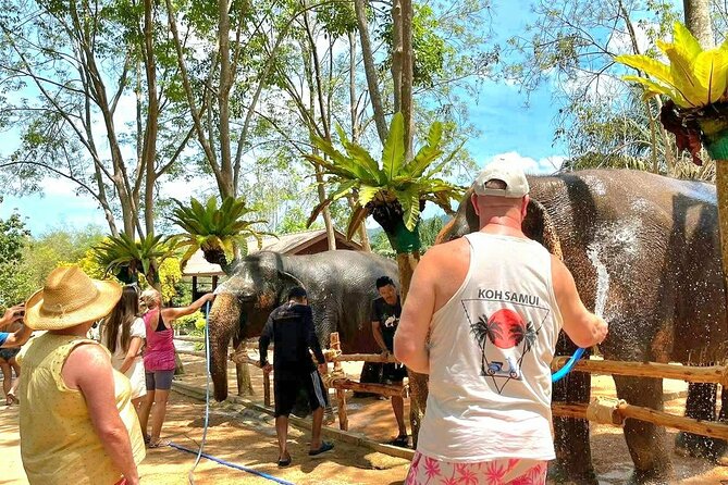 Elephant Nature Care, the largest elephant sanctuary on Koh Samui - Arriving at the sanctuary: what the first minutes look like