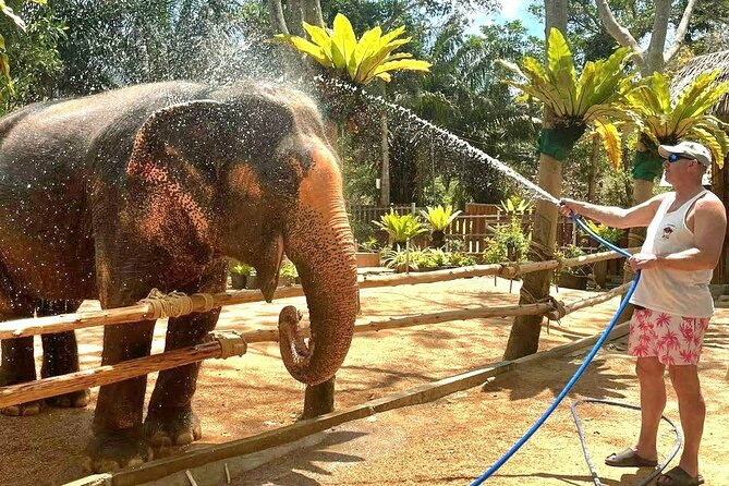 Elephant Nature Care, the largest elephant sanctuary on Koh Samui - The roaming habitat: foraging, mud play, and bath time