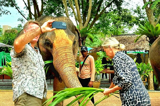Elephant Nature Care, the largest elephant sanctuary on Koh Samui - Lunch and drinks: what you eat after elephant time
