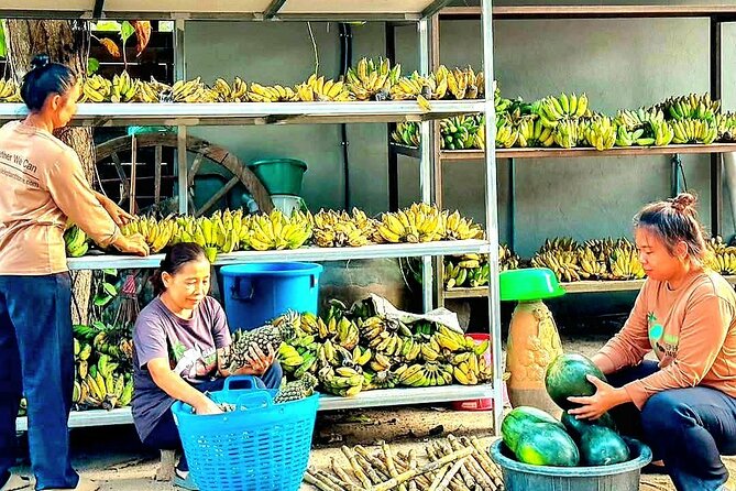 Elephant Nature Care, the largest elephant sanctuary on Koh Samui - Price and timing: does $96.20 feel fair for a 3-hour visit?