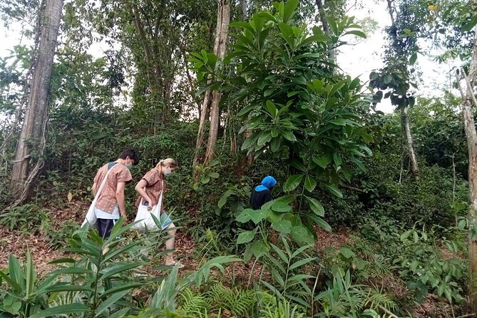 Elephant Sanctuary Small Group Tour in Phuket - Quick Why-It-Works Highlights