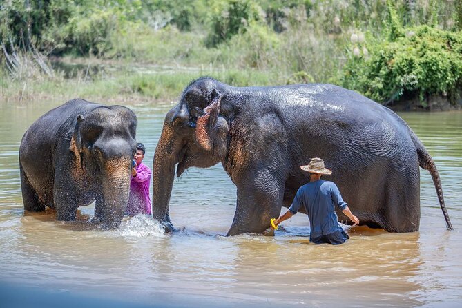 Elephant Sanctuary Small Group Tour in Phuket - Guides, Photos, and the Small-Group Advantage