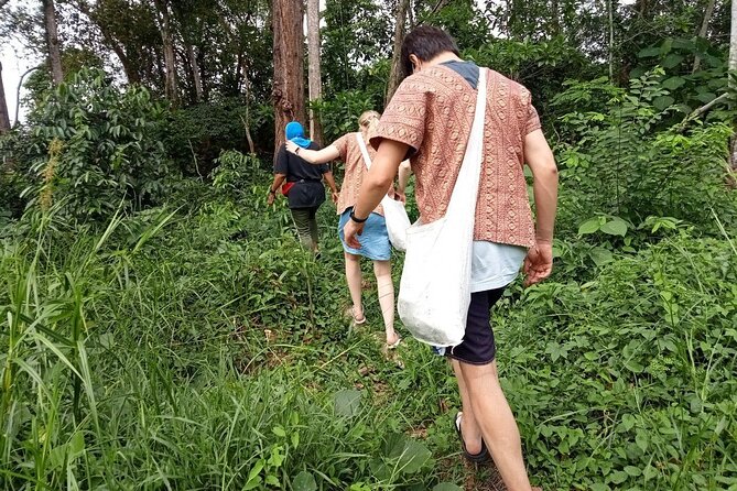 Elephant Sanctuary Small Group Tour in Phuket - Preparing Herbal Snacks, Then Feeding by Hand