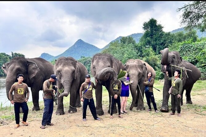 Erawan Waterfall and Elephant care from Bangkok -Private Tour - Buffet lunch at 12:00 to 1:00 pm: fueling for the waterfall climb