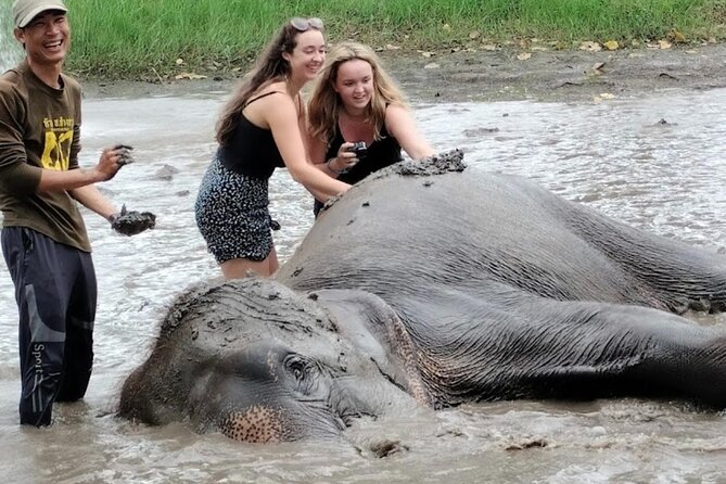 Erawan Waterfall and Elephant care from Bangkok -Private Tour - Erawan Waterfall’s 7 levels, emerald pools, and swimming time