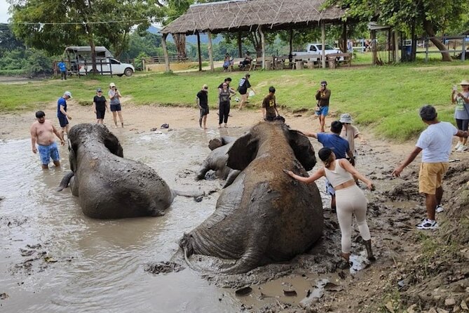 Erawan Waterfall and Elephant care from Bangkok -Private Tour - Private tour value: what your money covers and why it matters