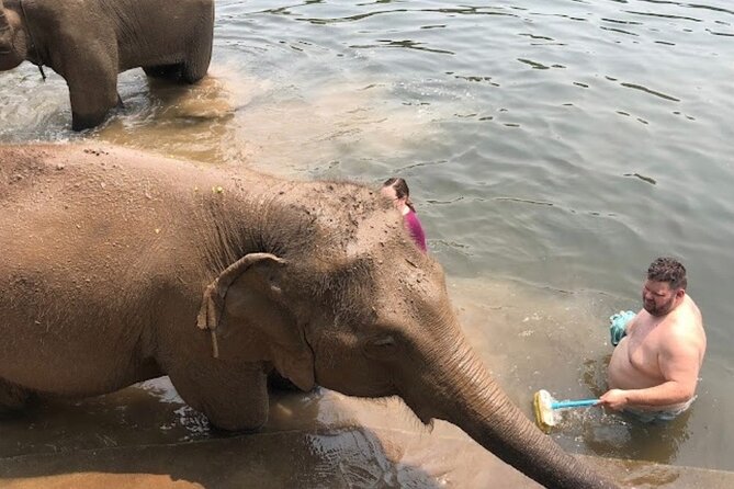 Erawan Waterfall and Elephant care from Bangkok -Private Tour - Timing reality check: the drive, the gaps, and the return to Bangkok