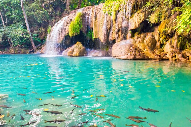 Erawan Waterfall and Elephant Care: Private Tour to Kanchanabur - Who this private tour is best for