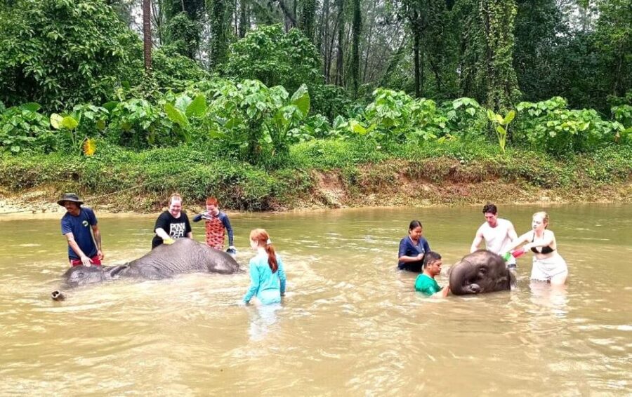 Ethical Elephant Sanctuary Experience in Khao Lak - Key things to know before you go