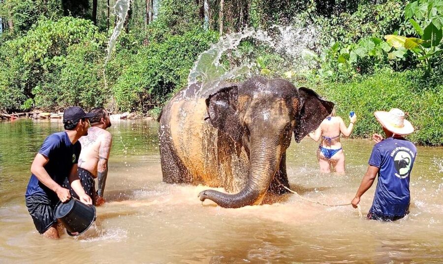 Ethical Elephant Sanctuary Experience in Khao Lak - Facilities and comfort: basic, practical, and manageable