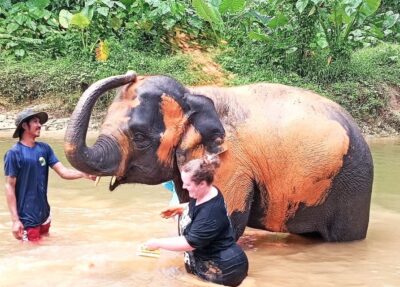 Ethical Elephant Sanctuary Experience in Khao Lak