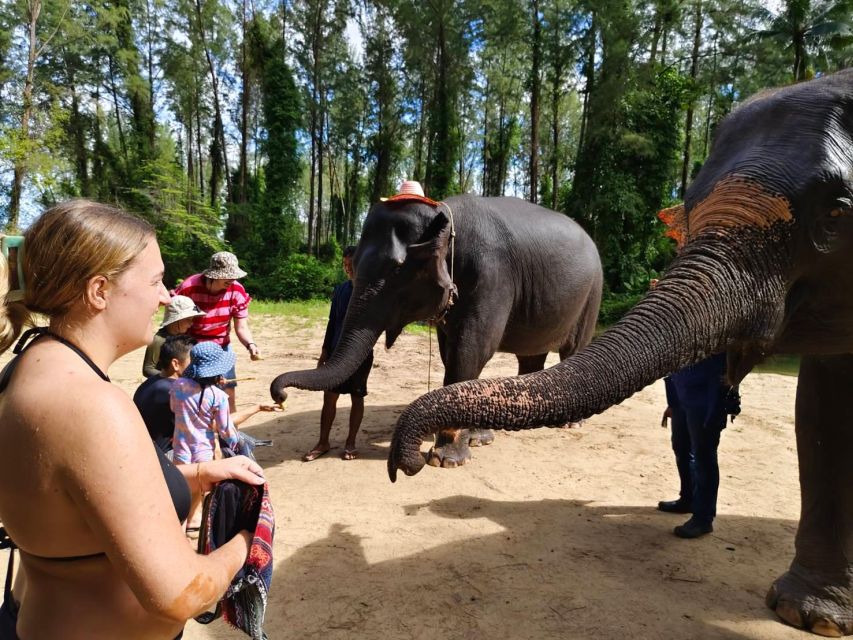 Ethical Elephant Sanctuary Experience in Khao Lak - Herbal preparation for elephants: a hands-on cultural moment