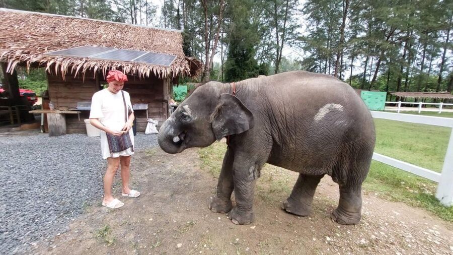 Ethical Elephant Sanctuary Experience in Khao Lak - Ya Dom herbal inhaler workshop: Thai daily wellness, made by you