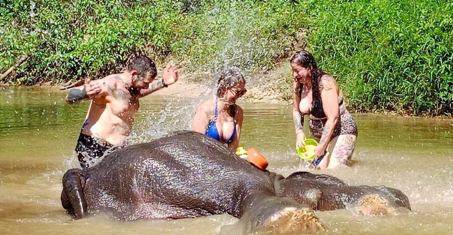 Ethical Elephant Sanctuary Experience in Khao Lak - Khanom Krok: the street snack break you will remember