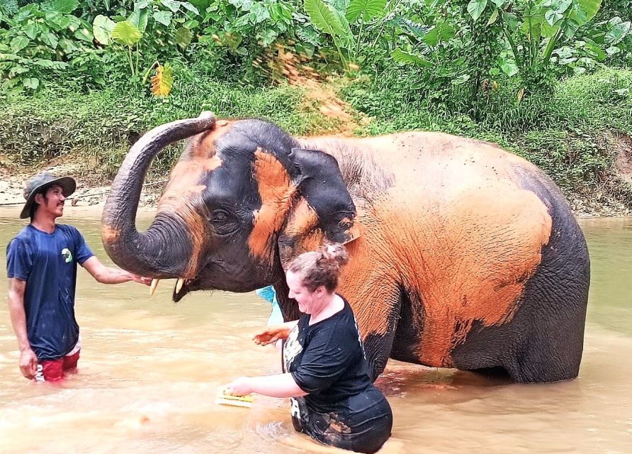 Ethical Elephant Sanctuary Experience in Khao Lak - The drive from Khao Lak, and why timing matters