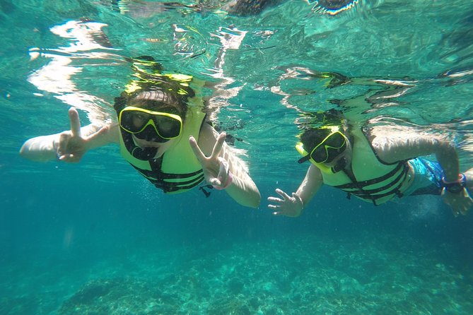 Exclusive Small Group Phi Phi Islands Sunrise or Day Trip - Viking Cave: swallow birds, nests, and bird-nest soup context