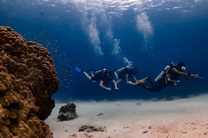 Explore Scuba diving at Racha Yai Island from Phuket - Why Koh Racha Yai works for beginner scuba students in Phuket