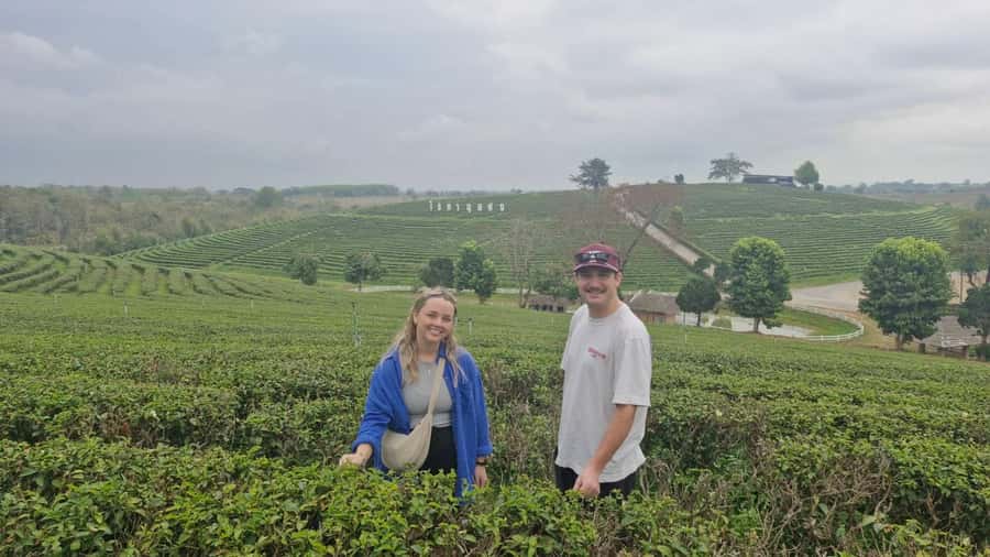 Explorer Border road and Nature ( Tea and Coffee ) - Golden Triangle and the Hall of Opium: rivers, borders, and context