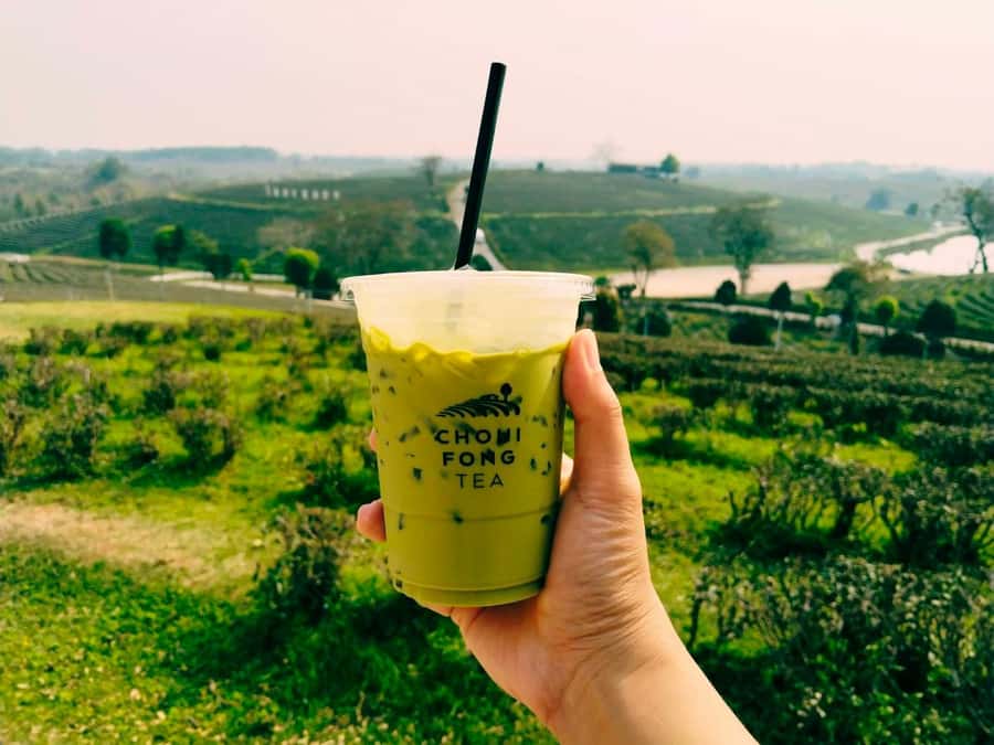 Explorer Border road and Nature ( Tea and Coffee ) - Price, value, and who this private day suits best