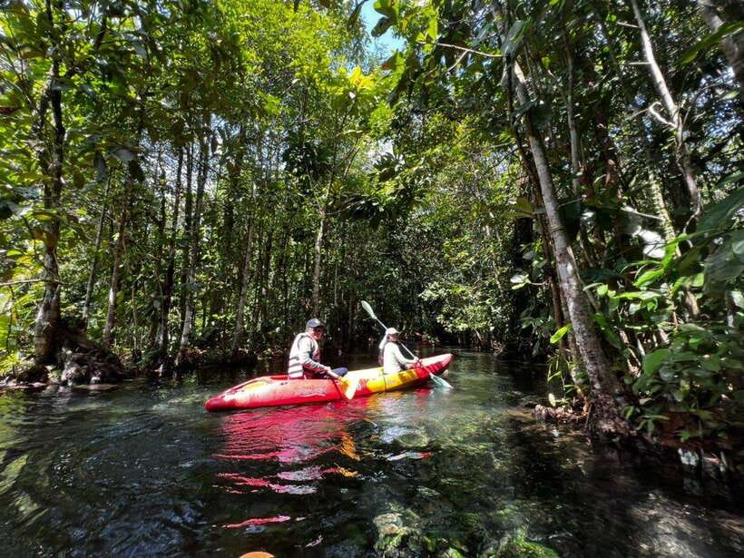 From Ao Nang: Kayaking at Klong Rud with Hotel Transfers - Key highlights you will actually care about