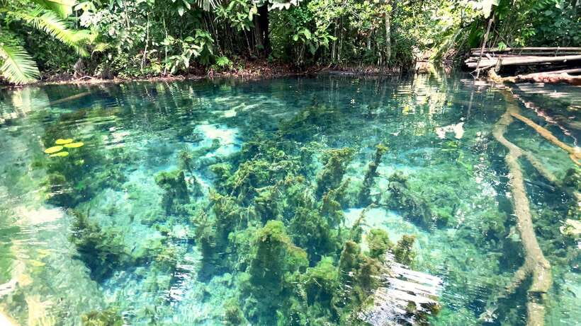 From Ao Nang: Kayaking at Klong Rud with Hotel Transfers - Logistics that can make or break the day