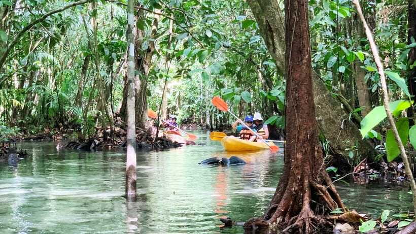 From Ao Nang: Kayaking at Klong Rud with Hotel Transfers - Should you book this Ao Nang to Klong Rud kayaking tour?