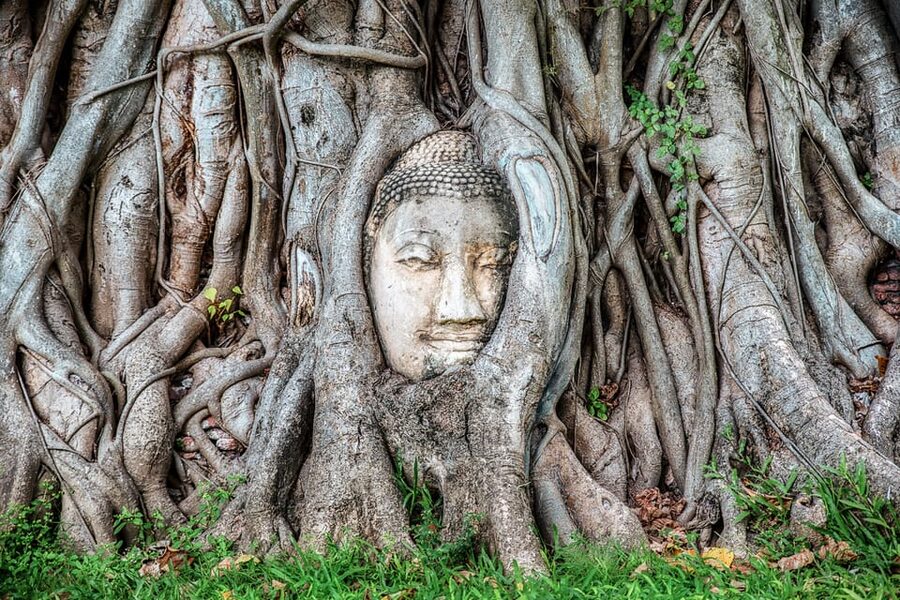 From Bangkok: Ayutthaya & Ayothaya Floating Market Day Trip - Why Ayutthaya in a single day works (8 hours that feel efficient)