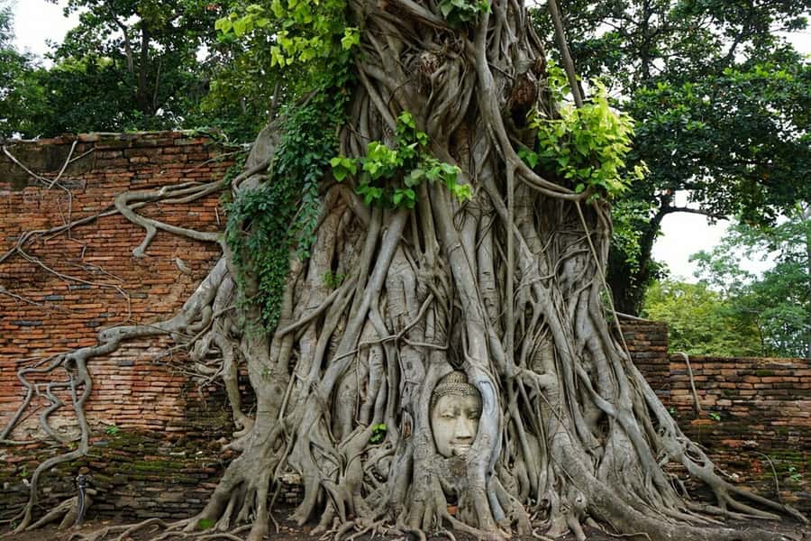 From Bangkok: Ayutthaya & Khao Yai National Park Day Trip - Wat Yai Chai Mongkhon: The Reclining White Buddha Moment