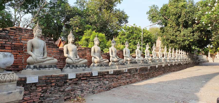From Bangkok: Ayutthaya & Khao Yai National Park Day Trip - Starting from Bangkok: Pickup Zones, Comfort, and Time Pressure
